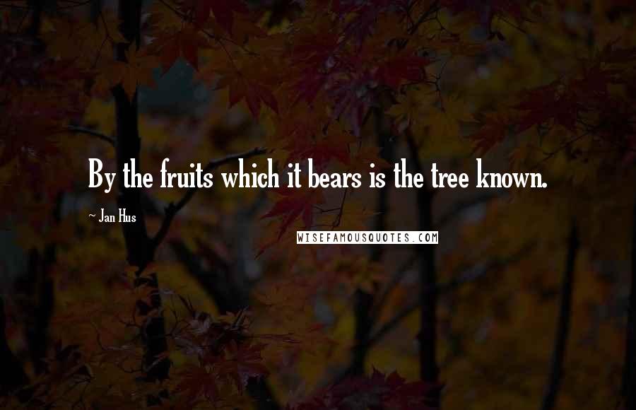 Jan Hus Quotes: By the fruits which it bears is the tree known.