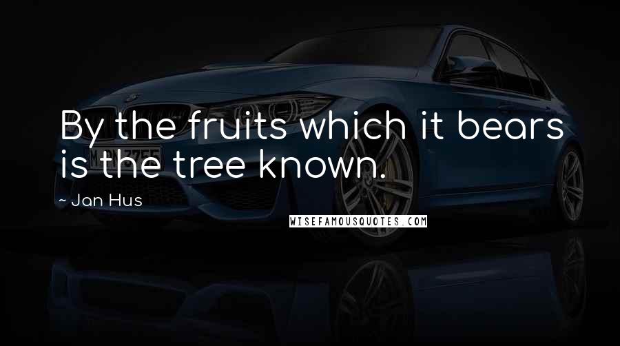 Jan Hus Quotes: By the fruits which it bears is the tree known.