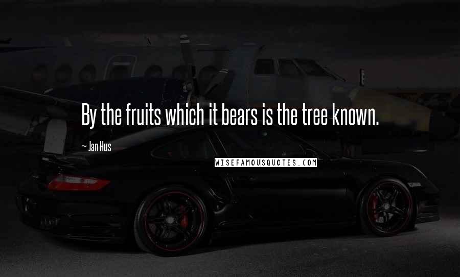 Jan Hus Quotes: By the fruits which it bears is the tree known.