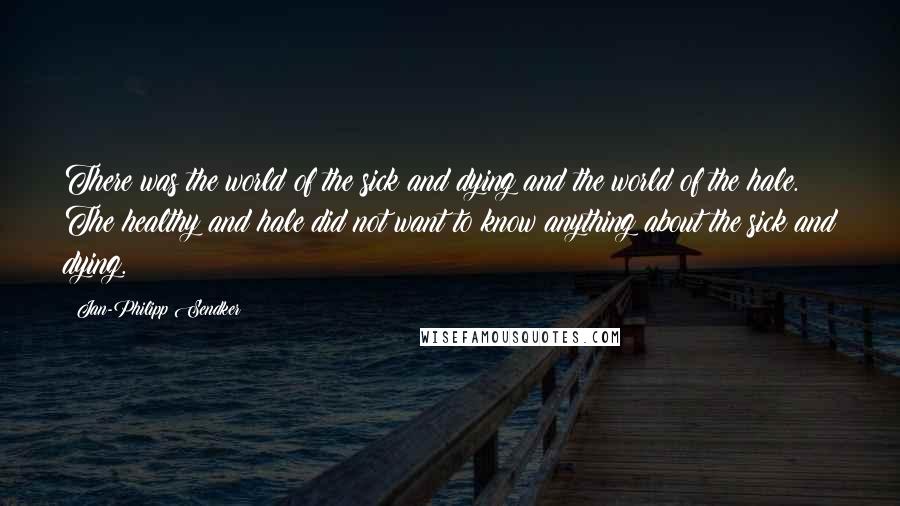 Jan-Philipp Sendker Quotes: There was the world of the sick and dying and the world of the hale. The healthy and hale did not want to know anything about the sick and dying.