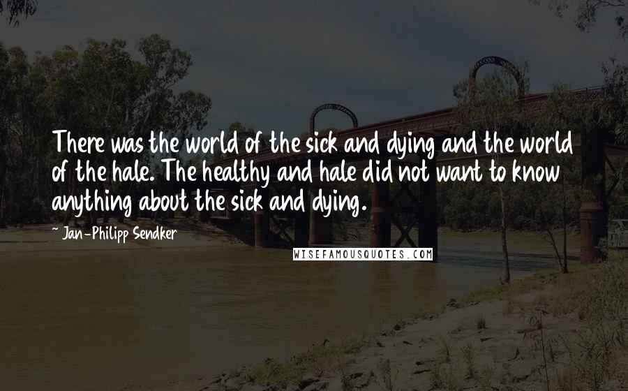 Jan-Philipp Sendker Quotes: There was the world of the sick and dying and the world of the hale. The healthy and hale did not want to know anything about the sick and dying.