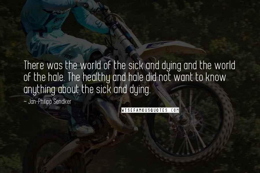 Jan-Philipp Sendker Quotes: There was the world of the sick and dying and the world of the hale. The healthy and hale did not want to know anything about the sick and dying.