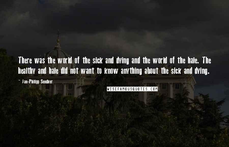 Jan-Philipp Sendker Quotes: There was the world of the sick and dying and the world of the hale. The healthy and hale did not want to know anything about the sick and dying.