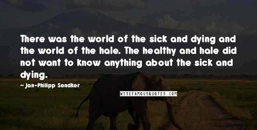 Jan-Philipp Sendker Quotes: There was the world of the sick and dying and the world of the hale. The healthy and hale did not want to know anything about the sick and dying.