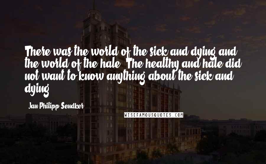 Jan-Philipp Sendker Quotes: There was the world of the sick and dying and the world of the hale. The healthy and hale did not want to know anything about the sick and dying.