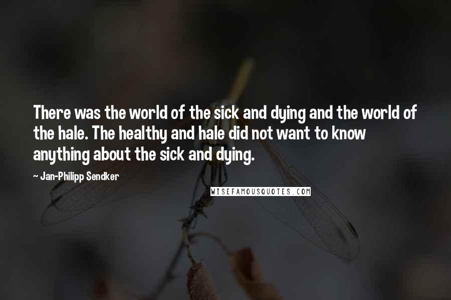 Jan-Philipp Sendker Quotes: There was the world of the sick and dying and the world of the hale. The healthy and hale did not want to know anything about the sick and dying.