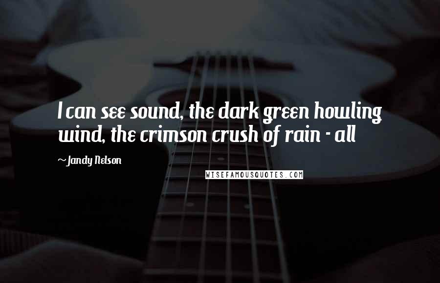 Jandy Nelson Quotes: I can see sound, the dark green howling wind, the crimson crush of rain - all