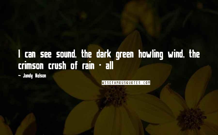 Jandy Nelson Quotes: I can see sound, the dark green howling wind, the crimson crush of rain - all