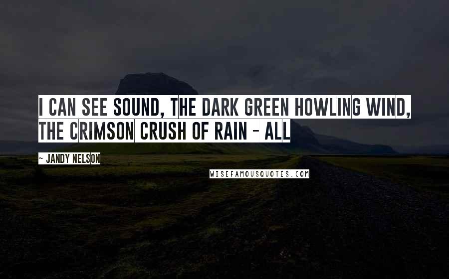 Jandy Nelson Quotes: I can see sound, the dark green howling wind, the crimson crush of rain - all