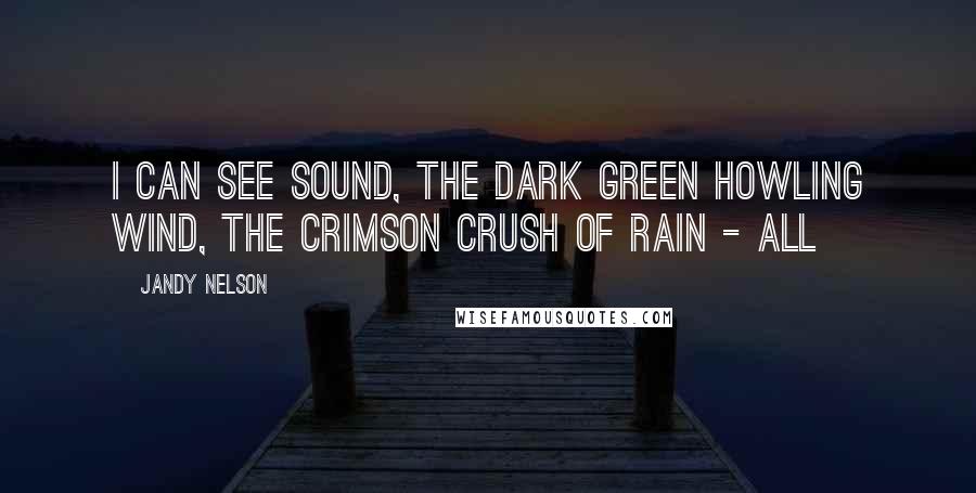 Jandy Nelson Quotes: I can see sound, the dark green howling wind, the crimson crush of rain - all
