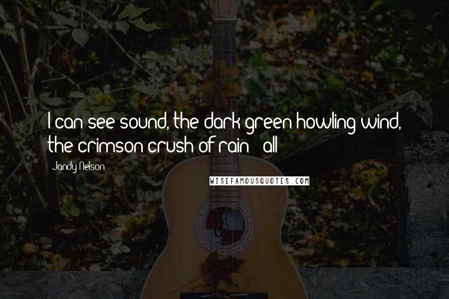 Jandy Nelson Quotes: I can see sound, the dark green howling wind, the crimson crush of rain - all