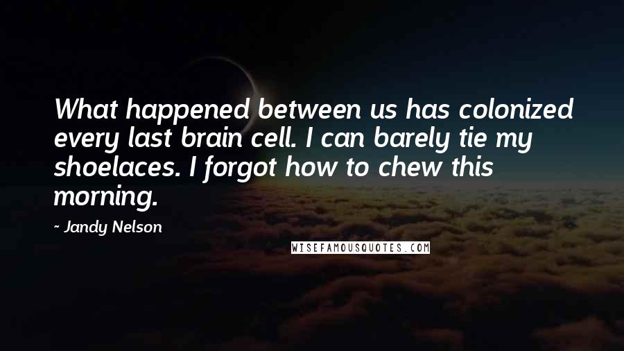 Jandy Nelson Quotes: What happened between us has colonized every last brain cell. I can barely tie my shoelaces. I forgot how to chew this morning.