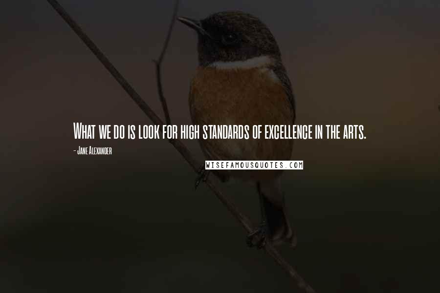 Jane Alexander Quotes: What we do is look for high standards of excellence in the arts.