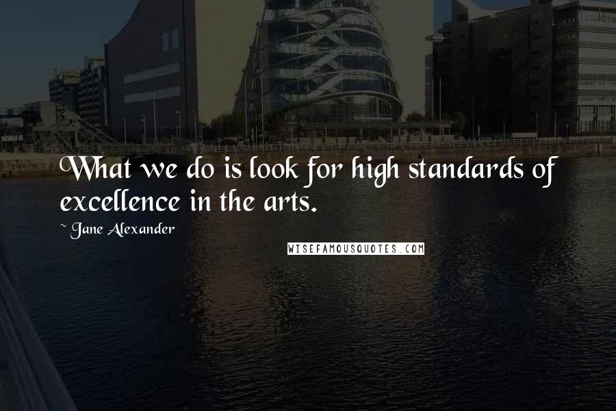 Jane Alexander Quotes: What we do is look for high standards of excellence in the arts.