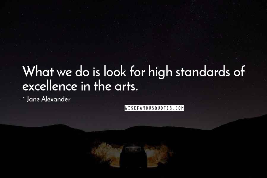 Jane Alexander Quotes: What we do is look for high standards of excellence in the arts.