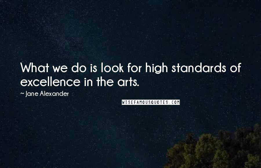 Jane Alexander Quotes: What we do is look for high standards of excellence in the arts.