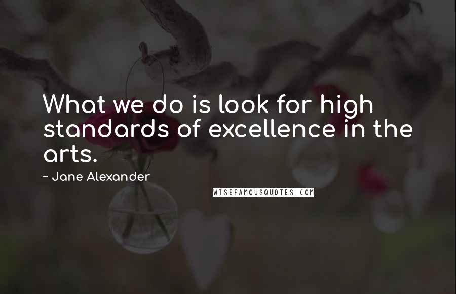 Jane Alexander Quotes: What we do is look for high standards of excellence in the arts.