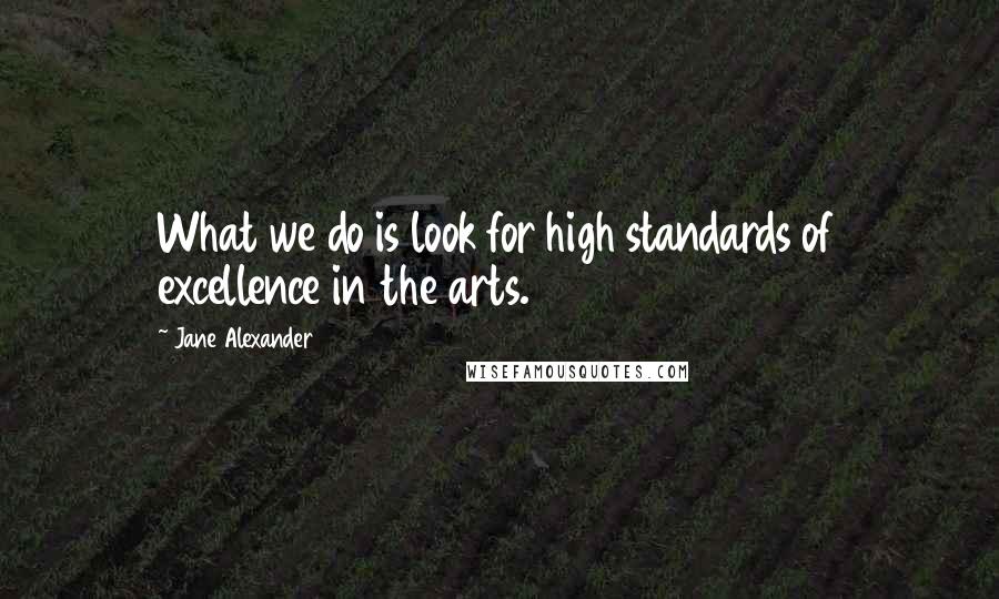 Jane Alexander Quotes: What we do is look for high standards of excellence in the arts.