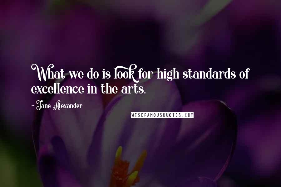 Jane Alexander Quotes: What we do is look for high standards of excellence in the arts.