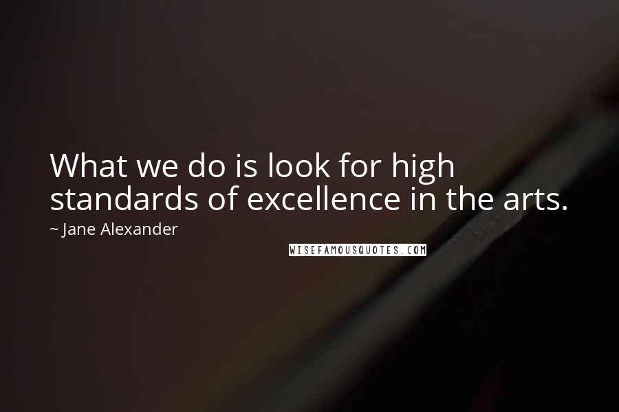 Jane Alexander Quotes: What we do is look for high standards of excellence in the arts.