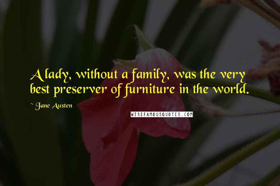 Jane Austen Quotes: A lady, without a family, was the very best preserver of furniture in the world.