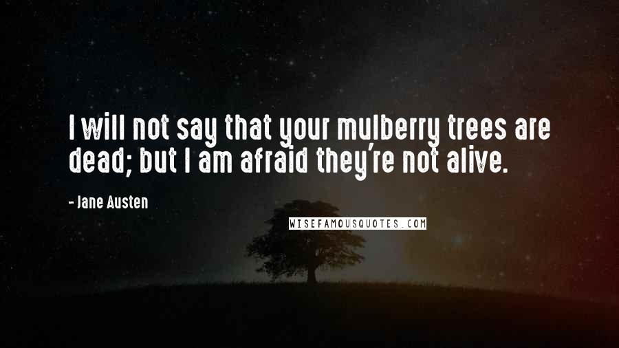 Jane Austen Quotes: I will not say that your mulberry trees are dead; but I am afraid they're not alive.