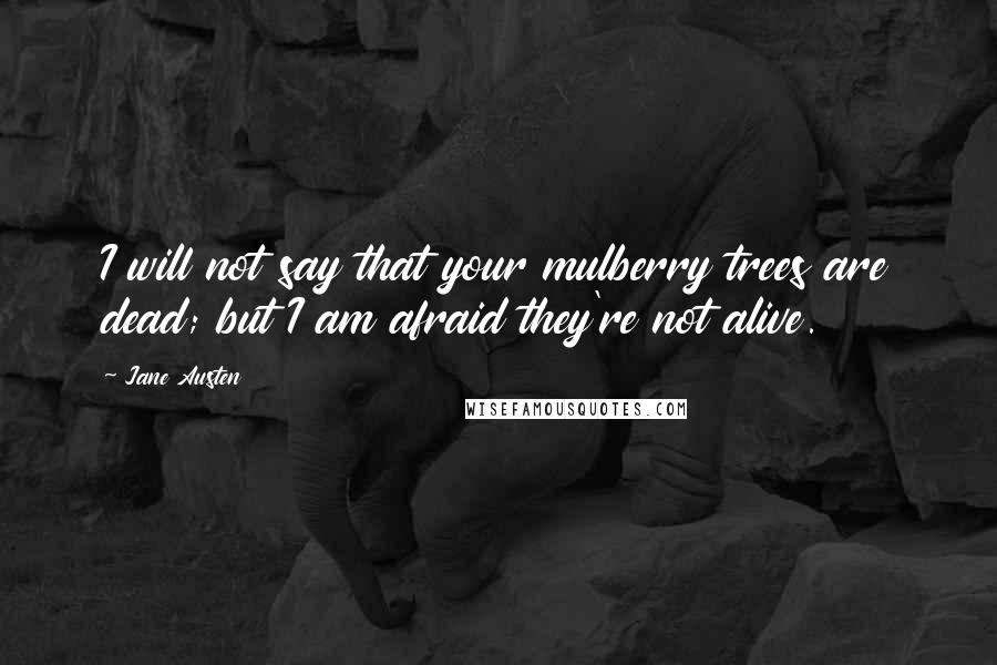 Jane Austen Quotes: I will not say that your mulberry trees are dead; but I am afraid they're not alive.