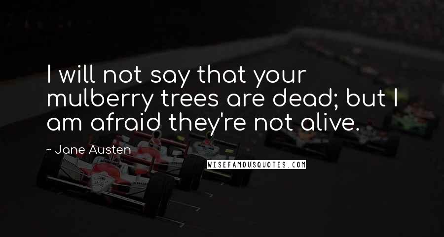 Jane Austen Quotes: I will not say that your mulberry trees are dead; but I am afraid they're not alive.