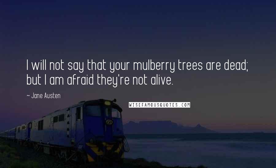 Jane Austen Quotes: I will not say that your mulberry trees are dead; but I am afraid they're not alive.