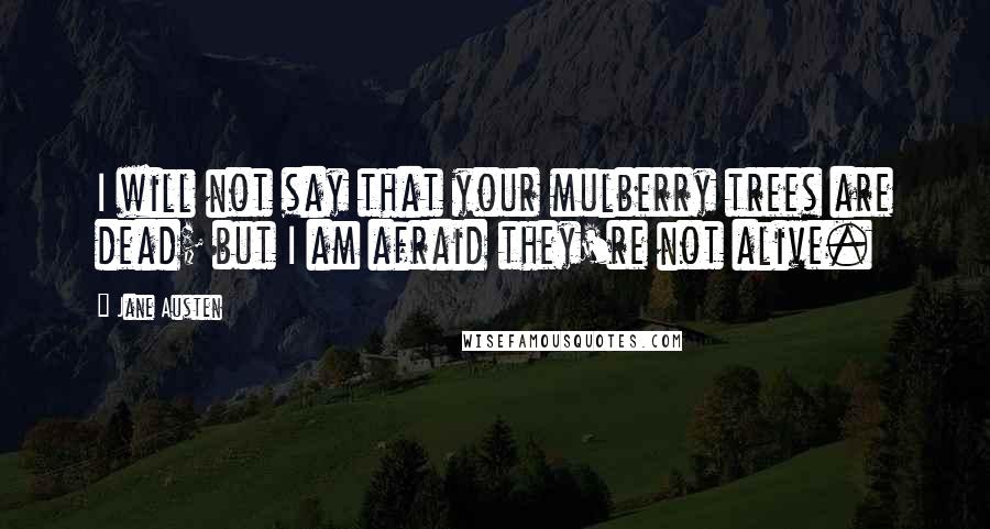 Jane Austen Quotes: I will not say that your mulberry trees are dead; but I am afraid they're not alive.