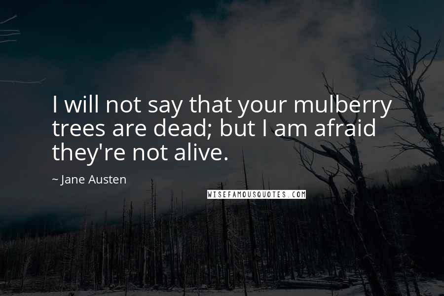 Jane Austen Quotes: I will not say that your mulberry trees are dead; but I am afraid they're not alive.