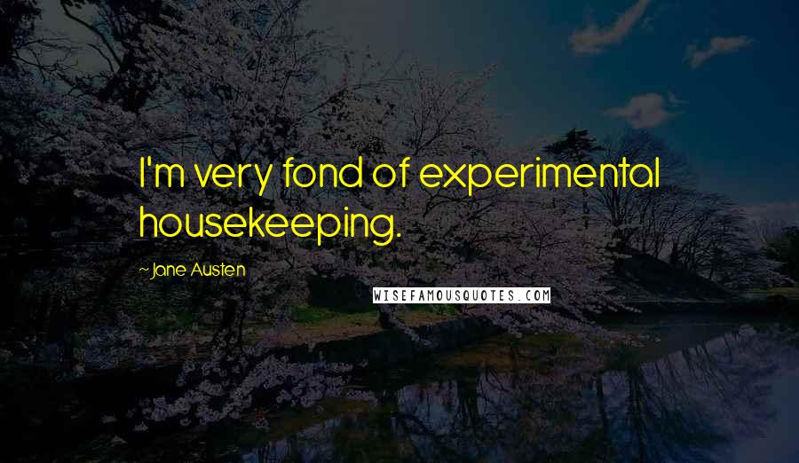 Jane Austen Quotes: I'm very fond of experimental housekeeping.