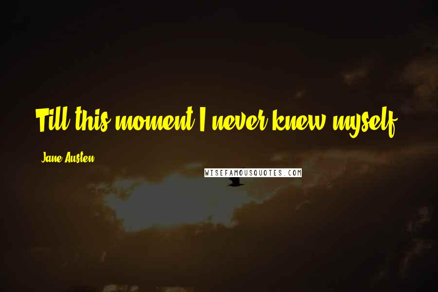 Jane Austen Quotes: Till this moment I never knew myself.