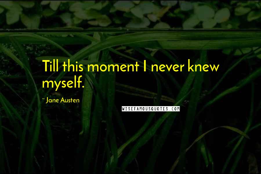 Jane Austen Quotes: Till this moment I never knew myself.