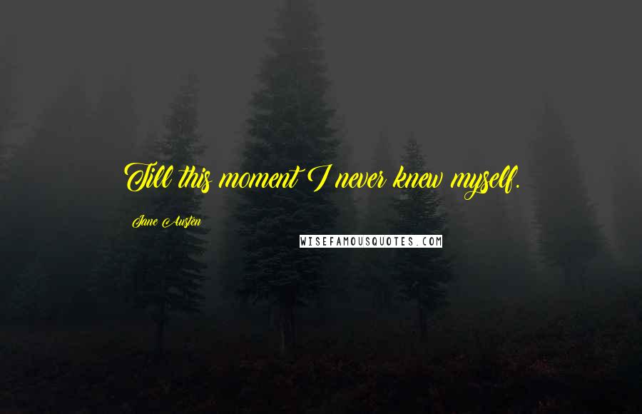 Jane Austen Quotes: Till this moment I never knew myself.