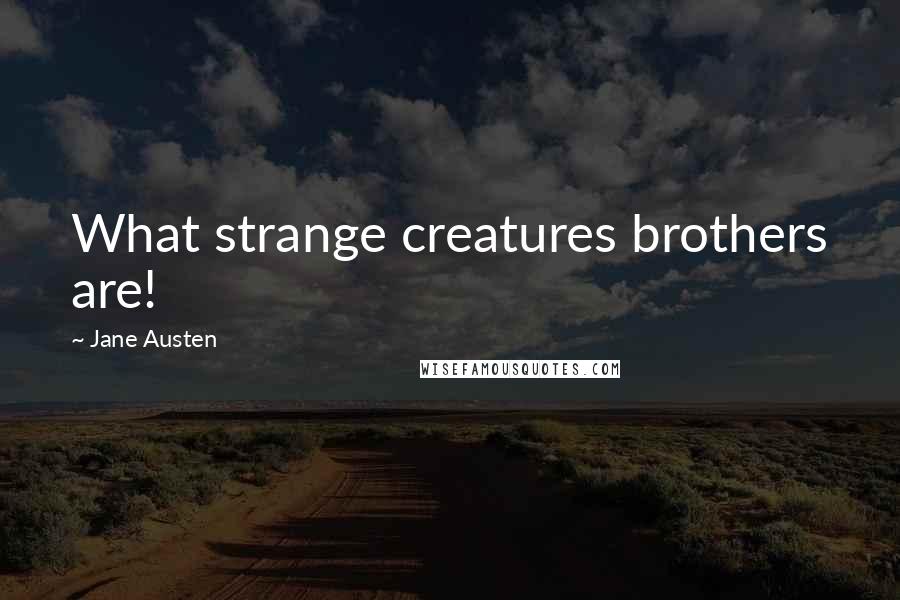 Jane Austen Quotes: What strange creatures brothers are!