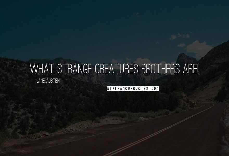 Jane Austen Quotes: What strange creatures brothers are!