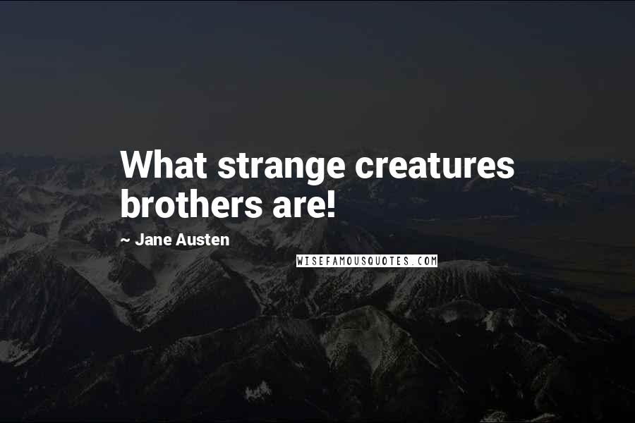 Jane Austen Quotes: What strange creatures brothers are!
