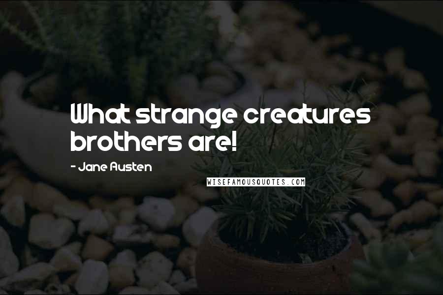 Jane Austen Quotes: What strange creatures brothers are!