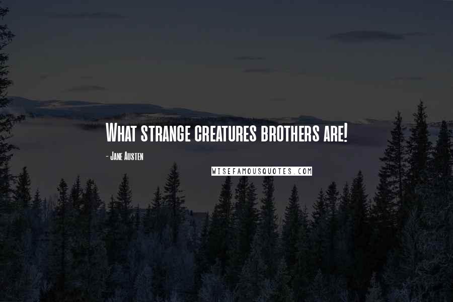 Jane Austen Quotes: What strange creatures brothers are!