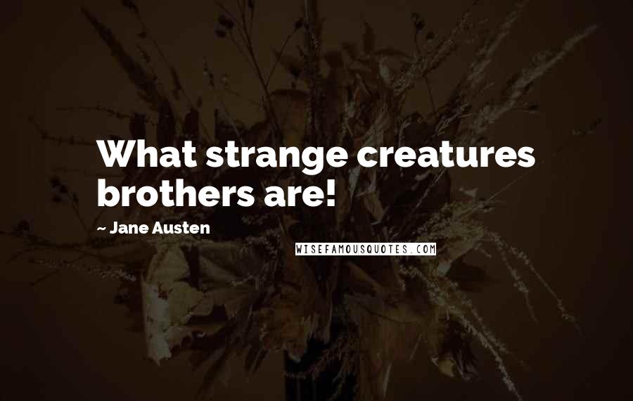 Jane Austen Quotes: What strange creatures brothers are!