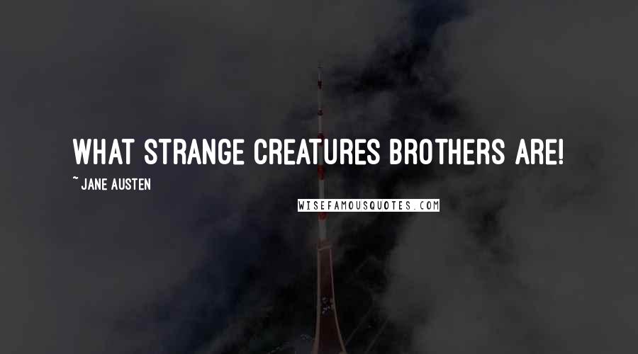 Jane Austen Quotes: What strange creatures brothers are!