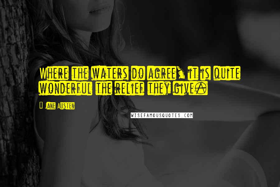 Jane Austen Quotes: Where the waters do agree, it is quite wonderful the relief they give.