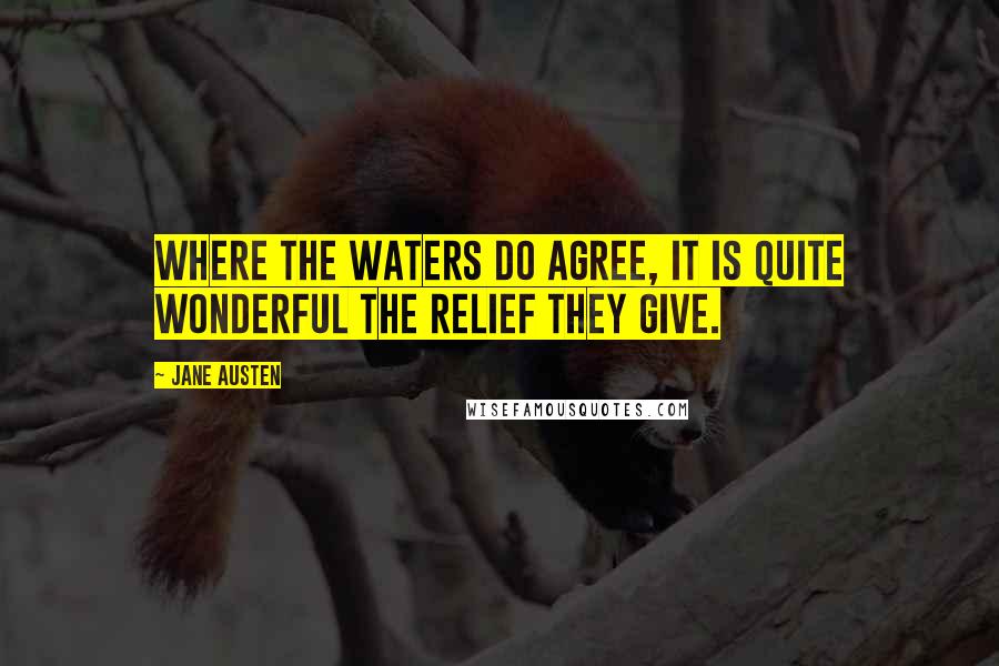 Jane Austen Quotes: Where the waters do agree, it is quite wonderful the relief they give.