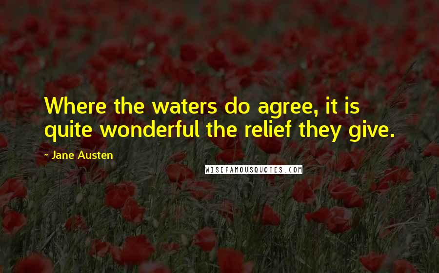 Jane Austen Quotes: Where the waters do agree, it is quite wonderful the relief they give.