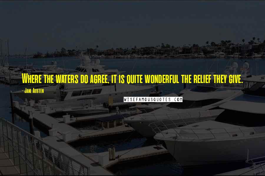 Jane Austen Quotes: Where the waters do agree, it is quite wonderful the relief they give.