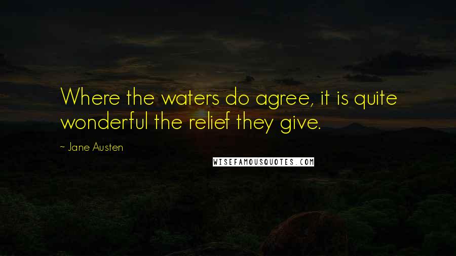 Jane Austen Quotes: Where the waters do agree, it is quite wonderful the relief they give.