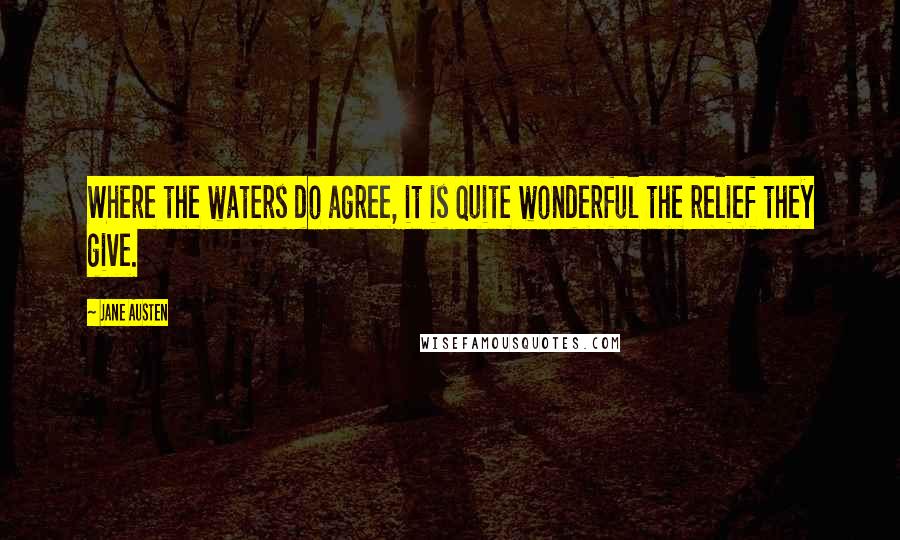 Jane Austen Quotes: Where the waters do agree, it is quite wonderful the relief they give.