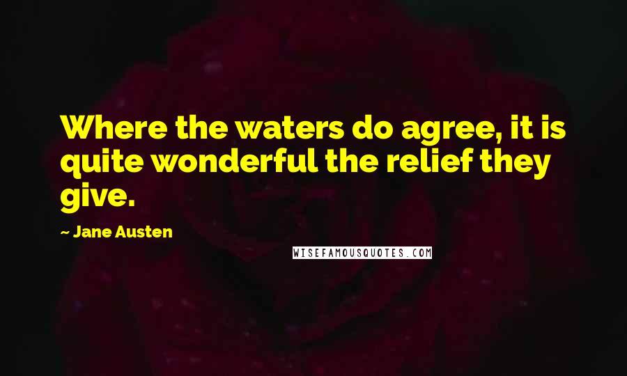 Jane Austen Quotes: Where the waters do agree, it is quite wonderful the relief they give.