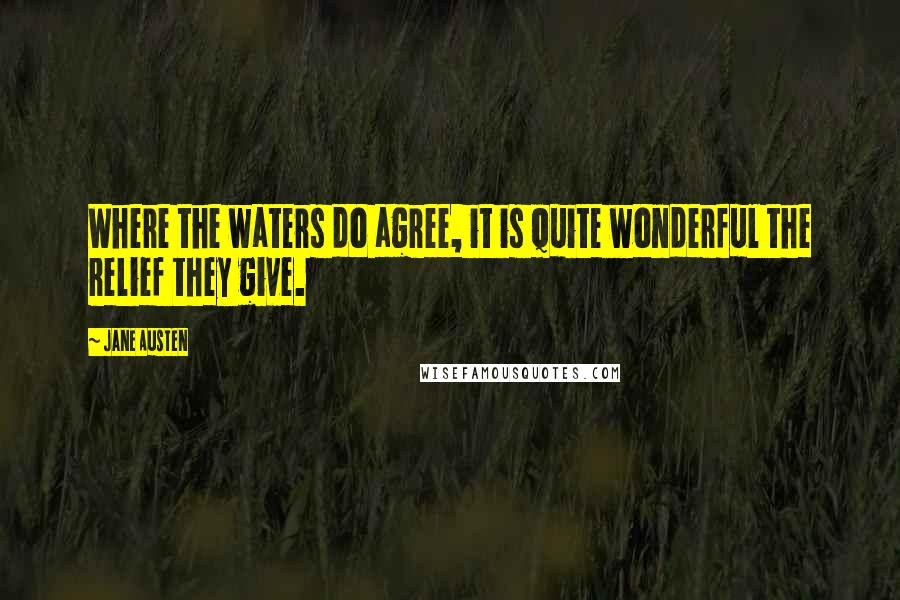 Jane Austen Quotes: Where the waters do agree, it is quite wonderful the relief they give.